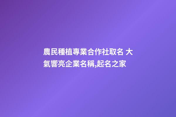 農民種植專業合作社取名 大氣響亮企業名稱,起名之家-第1張-公司起名-玄機派